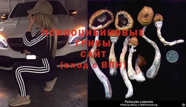 мдпв Баксан